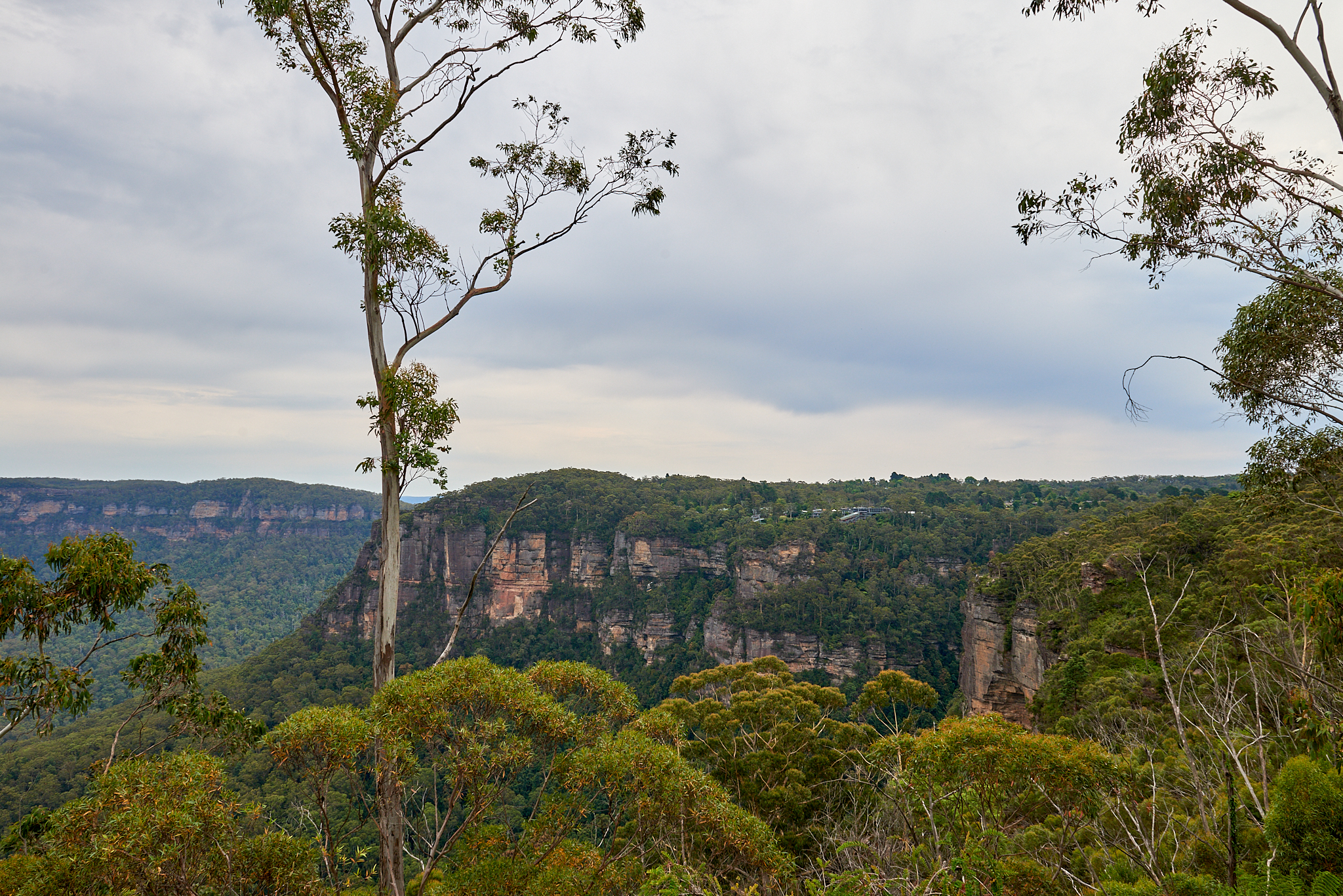 20180123 041 호주 블루마운틴스 국립공원